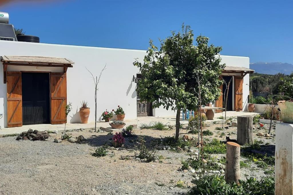 Villa Louloudia Stylish Luxury Villa With Private Pool Πιτσίδια Εξωτερικό φωτογραφία