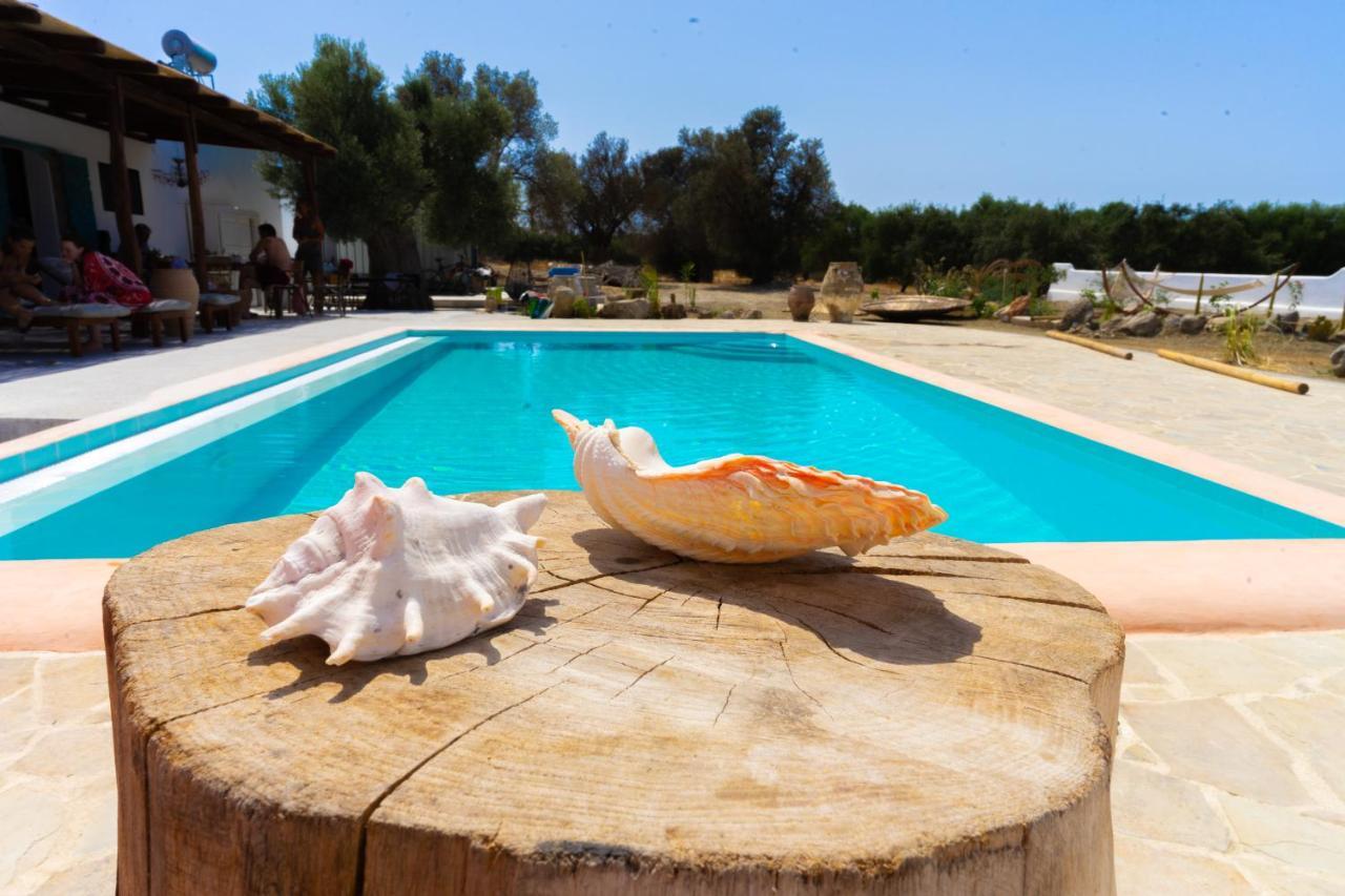 Villa Louloudia Stylish Luxury Villa With Private Pool Πιτσίδια Εξωτερικό φωτογραφία